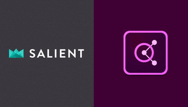 Salient, le fournisseur de beaux sites Internet